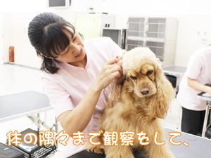 検査実習と身体検査！